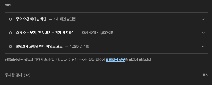 진단 및 통과한 감사, Lighthouse 성능 측정 결과